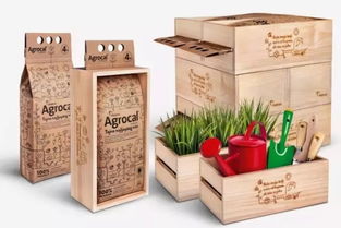 農(nóng)產(chǎn)品包裝設(shè)計(jì)與市場(chǎng)營(yíng)銷(xiāo)策劃 融合美學(xué)與商業(yè)智慧